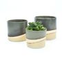 Moorland Ceramic Plant Pots In Three Sizes, thumbnail 4 of 4