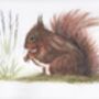 Set Of Five Wildlife Cards Blank Notecards, thumbnail 5 of 5