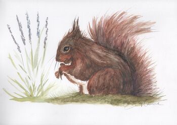 Set Of Five Wildlife Cards Blank Notecards, 5 of 5