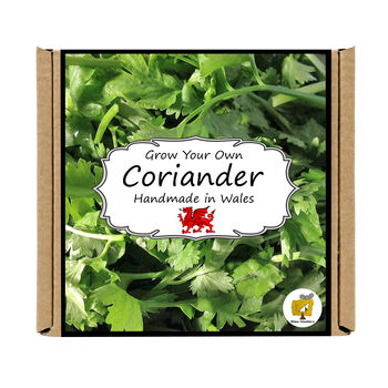 Herb Garden Coriander Growing Kit. Gardening Gift, 4 of 4