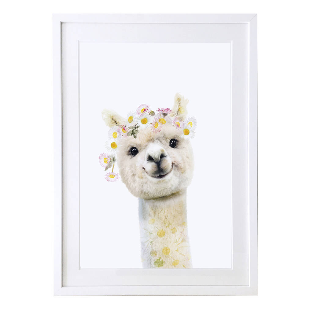 Alpacca Wildlife Botanical Art Print By Lola Design Ltd ...