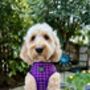 Royal Purple Patch Puppy Dog Harness Xs L, thumbnail 8 of 10