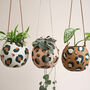 Leopard Print Round Hanging Plant Pots, thumbnail 4 of 10