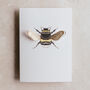 Bumble Bee Watercolour Pop Out Card, thumbnail 2 of 2