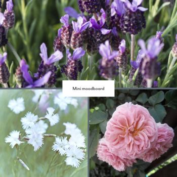 Cottage Garden Flower Design Kit, 6 of 7