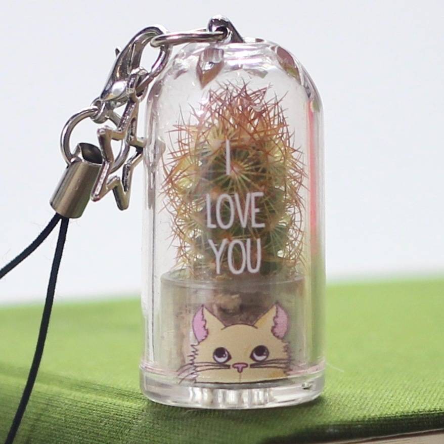 Image of Personalised Cat Cactus Keychain