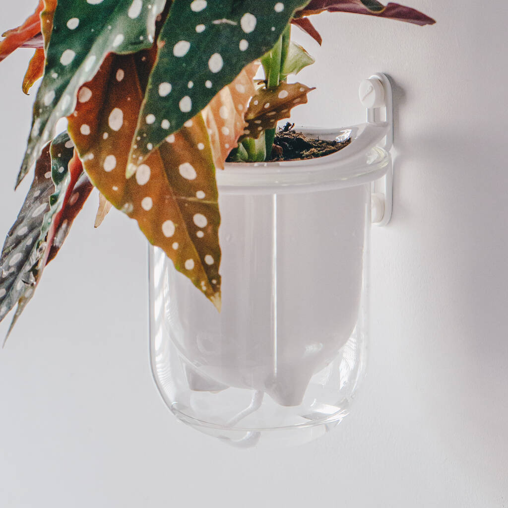 Flo, Self Watering Ceramic And Glass Wall Mount Planter, 1 of 12