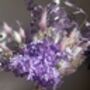 Purple Hydrangea Dried Flower Bouquet, thumbnail 2 of 10