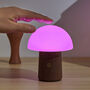 Mushroom Lamp, thumbnail 4 of 4