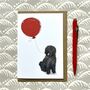 Spanish Water Dog Greetings Card, thumbnail 1 of 5