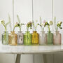 Little Lined Coloured Glass Bottle Vase Collection, thumbnail 1 of 7