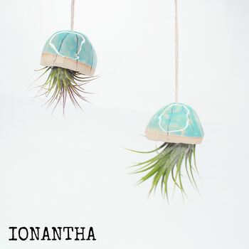 Original Handmade Jellyfish Air Plants, Gift For Plant Lovers, 5 of 12