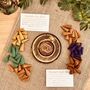 Meditation Mindful Incense Cones Night And Day Mix Blends, thumbnail 1 of 8