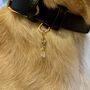 Moonstone Crystal Pet Collar Charm, thumbnail 2 of 3