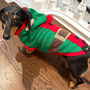 Christmas Elf Miniature Dachshund Jumper, thumbnail 1 of 3