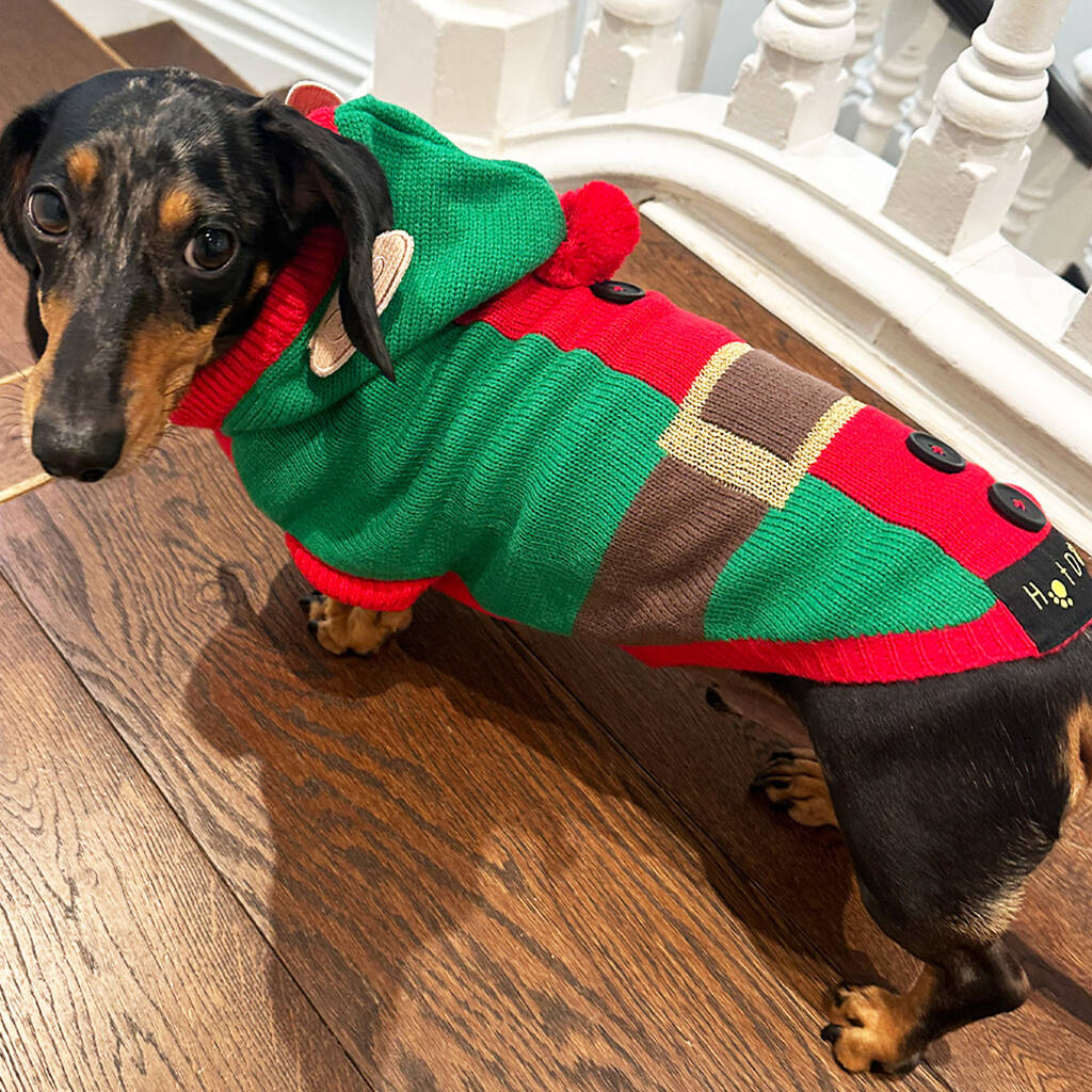 Christmas Elf Miniature Dachshund Jumper, 1 of 3