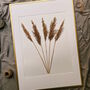 Natural Dried Reed Grass Framed Art, thumbnail 3 of 5