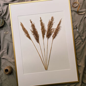 Natural Dried Reed Grass Framed Art, 3 of 5