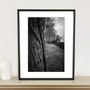 Tree Bark Landscape Photographic Art Print, thumbnail 1 of 4