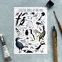 Wildlife Of Britain Greeting Cards Multi Pack Of Twelve, thumbnail 5 of 12
