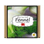 Herb Garden Fennel Growing Kit. Gardening Gift, thumbnail 4 of 4