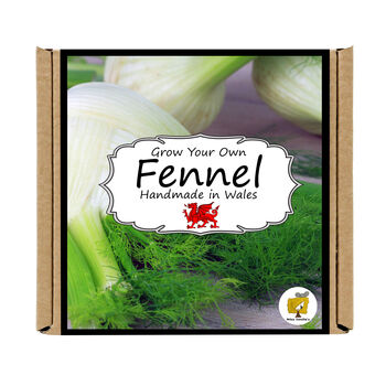 Herb Garden Fennel Growing Kit. Gardening Gift, 4 of 4