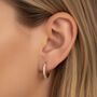 Women's Small Pavé Hoop Earrings In 18k Gold, thumbnail 1 of 4