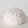 Sea Urchin Small Trinket Dish, thumbnail 2 of 4