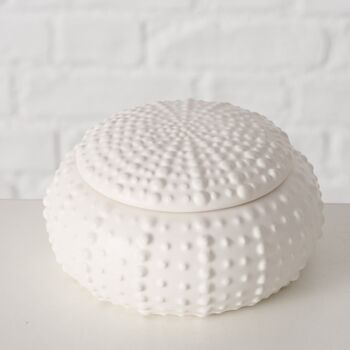 Sea Urchin Small Trinket Dish, 2 of 4