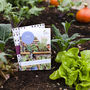 Small Year Round Veg Patch Gift Voucher, thumbnail 1 of 5