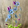 Forget Me Not Garden Stake Set Of Two, thumbnail 1 of 6