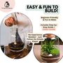 Closed Terrarium Kit With Live Plant | 'Luzern', thumbnail 9 of 10