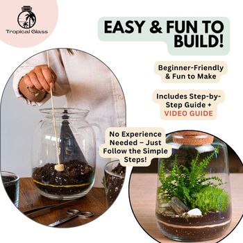 Closed Terrarium Kit With Live Plant | 'Luzern', 9 of 10