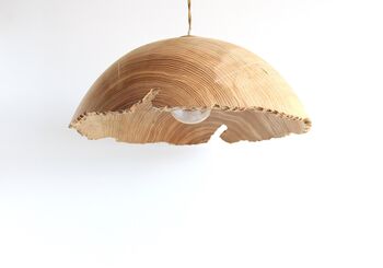 Wood Light, 6 of 7