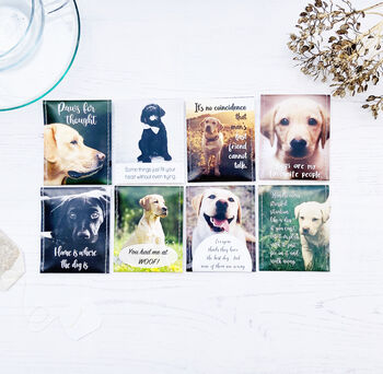 Labrador Lovers Tea Gift Set, 9 of 12