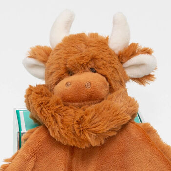 Personalised Embroidery Highland Cow Brown Toy Soother, 7 of 12