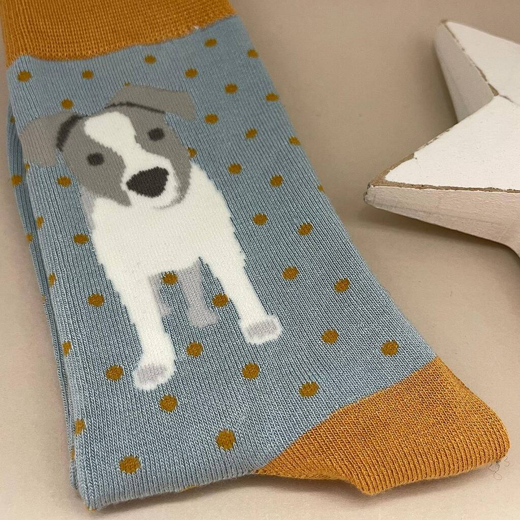 Bamboo Jack Russell Pup Socks In Duck Egg By Nest | notonthehighstreet.com