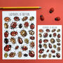 Ladybirds Of Britain Illustrated Postcard, thumbnail 2 of 12