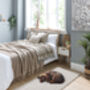 Howler And Scratch Shaggy Washable Pet Range, thumbnail 6 of 7