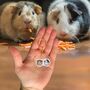 Personalised Guinea Pig Face Portrait Keyring, thumbnail 2 of 11