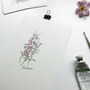 ‘Penstemon’ Flower Hand Illustrated Giclée Print, thumbnail 2 of 2