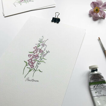 ‘Penstemon’ Flower Hand Illustrated Giclée Print, 2 of 2