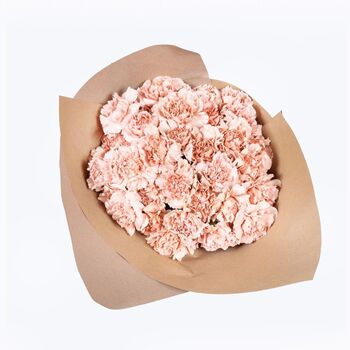 Cappuccino Carnations Fresh Flower Bouquet, 3 of 3