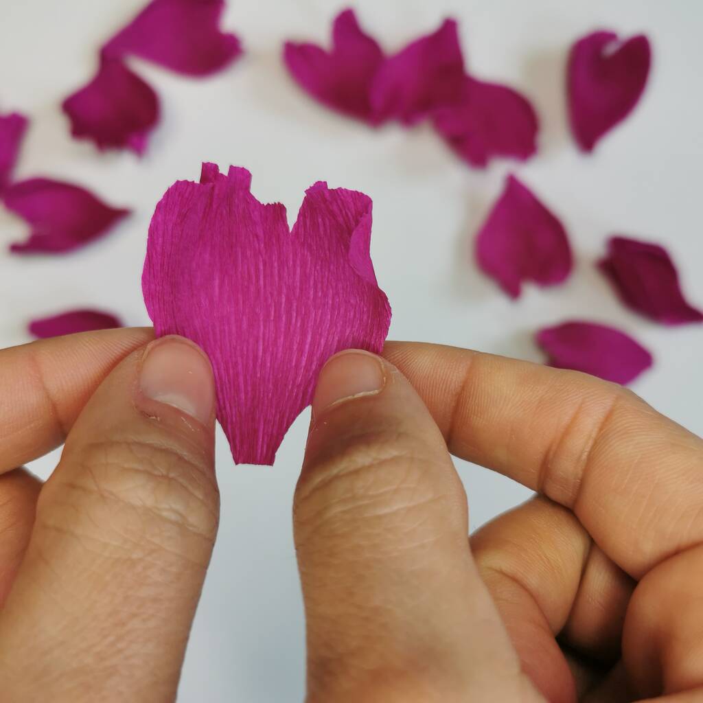 Paper Fuchsia Kit - Wild Hive Paper Flowers