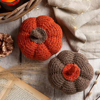 Pumpkin Duo Easy Crochet Kit, 3 of 8