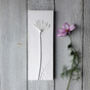 Queen Anne's Lace No.Three Plaster Cast Plaque, thumbnail 2 of 7