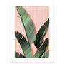 Pink And Green Banana Leaves Art Print, thumbnail 2 of 8