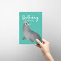 Cute Grey Seal Birthday Card, thumbnail 2 of 4