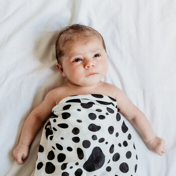 Dalmatian Print Baby Gift Xl Muslin, 3 of 3