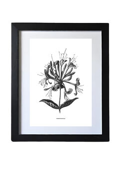 Six Framed Vintage Flower Art Prints, 5 of 10